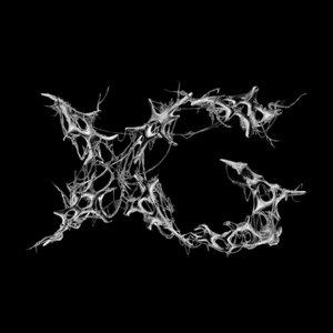 Image for 'AWE'