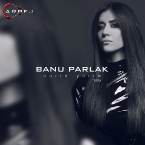 Zdjęcia dla 'Narin Yarim (Remix)'