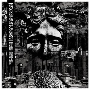 Image for 'Black Curtain / Divine Swelling'