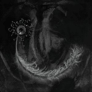 Image for 'Palimpsest'