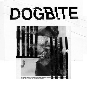 Zdjęcia dla 'True Lo-Fi Will Find You in the End'