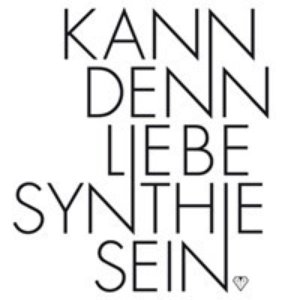 Image for 'Kann denn Liebe Synthie sein?'