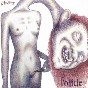 Image for 'Follicle (EP)'