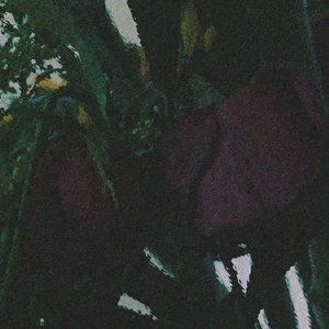 Image pour 'She Smells Like Flowers And Death'