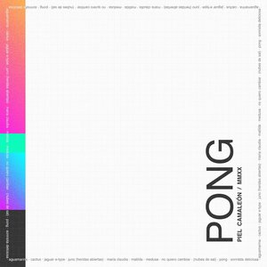 Image for 'Pong'