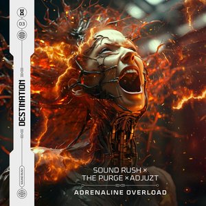 Image for 'Adrenaline Overload'