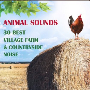 Image for 'Animal Sounds: 30 Best Village Farm & Countryside Noise from Europe'
