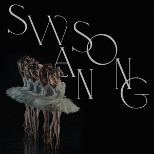 Image for 'Swan Song (Original Score)'