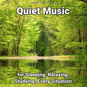 Image for 'Quiet Music for Sleeping, Relaxing, Studying, Every Situation'