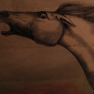 “Mare”的封面