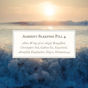 Immagine per 'Ambient Sleeping Pill 4'