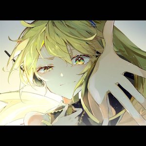 Immagine per 'アノニマスの咆哮'
