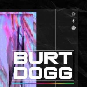 Bild för 'Burt Dogg'