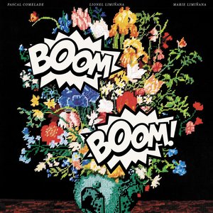 Image for 'Boom Boom'