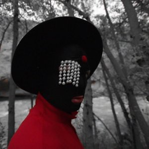 “MamaFlex”的封面