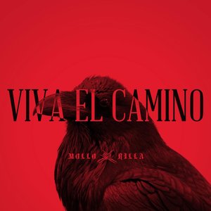 Image for 'Viva El Camino'