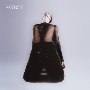 “Skyboy”的封面