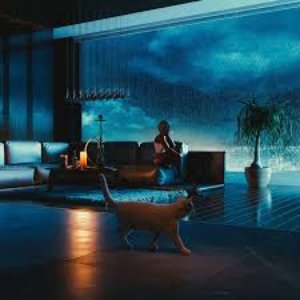 Immagine per 'Piano, Rain, Sleep'