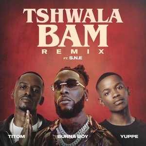 “Tshwala Bam (feat. S.N.E) [Remix]”的封面