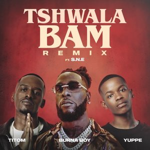 Imagen de 'Tshwala Bam (feat. S.N.E) [Remix]'