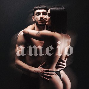 Изображение для 'ameio'