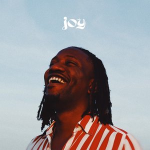 “Joy”的封面