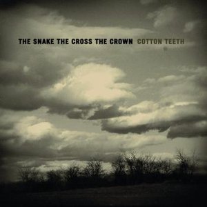 'Cotton Teeth'の画像