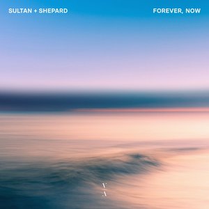 Изображение для 'Forever, Now'