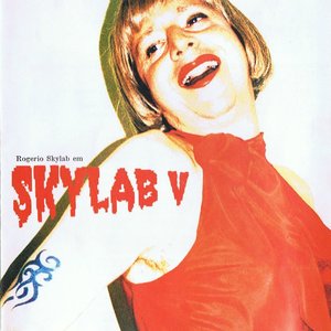 Image for 'Skylab V'