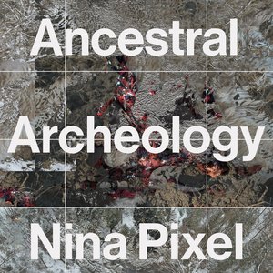Image for 'Ancestral Archeology'