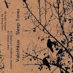 “Sleep Tones”的封面
