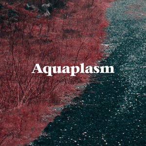 Image for 'Aquaplasm'