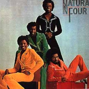 Immagine per 'Natural Four'