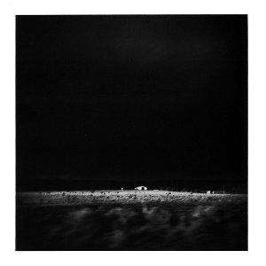 Image for 'Placer Found'