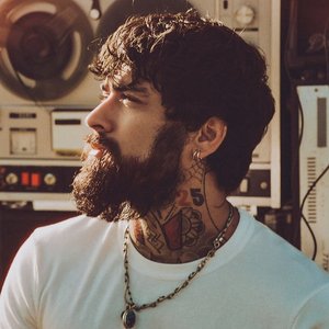 “Zayn”的封面