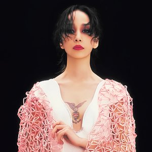 Image for '中島美嘉'