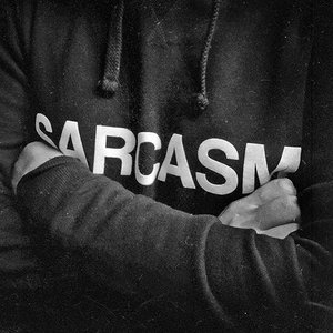 Image for 'Sarcasm'