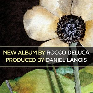 “Rocco DeLuca”的封面