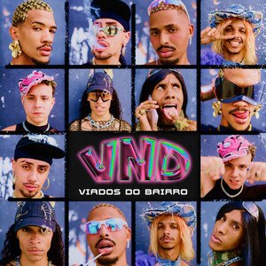 Image for 'VND - Viados do Bairro'