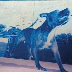 Image for 'Still Blank'