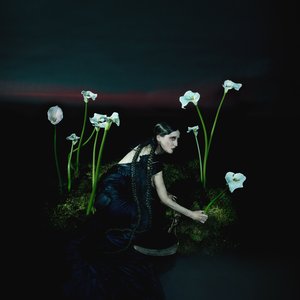 Image for 'A Requiem'