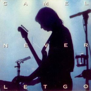 Image for 'Never Let Go'