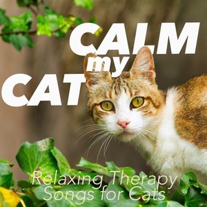 Image for 'Calm My Cat : Relaxing Therapy Songs for Cats'