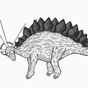 Bild für 'Stegosaurus'