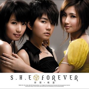 Image for 'Forever 新歌+精選'