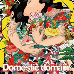 Image for 'Domestic Domain'