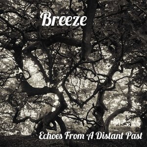 Imagem de 'Echoes from a Distant Past'
