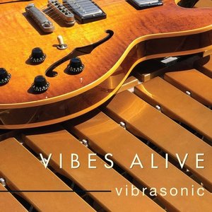 Image for 'Vibrasonic'