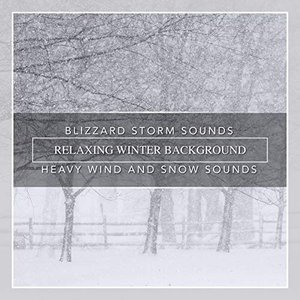 'Blizzard Storm Sounds, Relaxing Winter Background, Heavy Wind and Snow Sounds' için resim