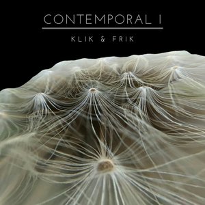 Image for 'Contemporal I'